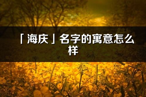 「海庆」名字的寓意怎么样