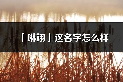 「琳翊」这名字怎么样