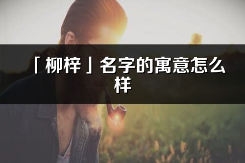 「柳梓」名字的寓意怎么样