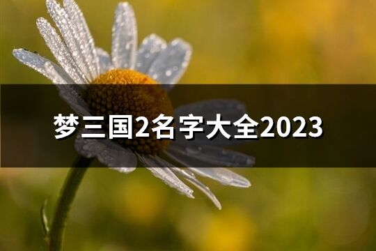 梦三国2名字大全2023(共57个)