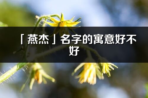 「燕杰」名字的寓意好不好