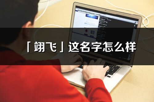 「翊飞」这名字怎么样