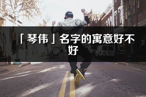 「琴伟」名字的寓意好不好