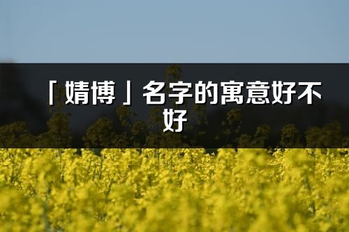 「婧博」名字的寓意好不好