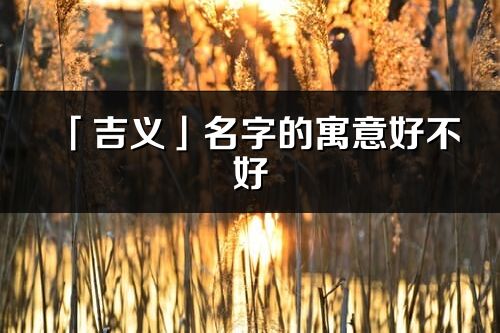 「吉义」名字的寓意好不好