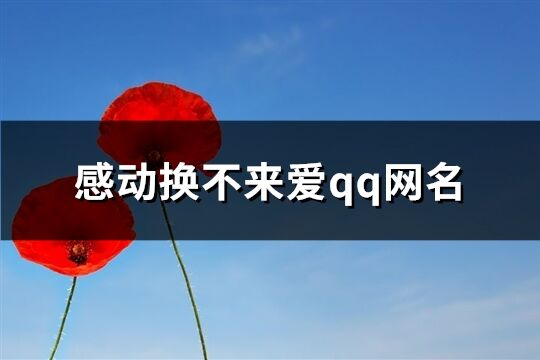 感动换不来爱qq网名(共76个)