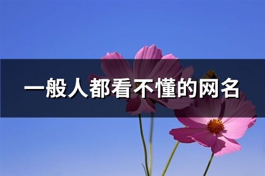 一般人都看不懂的网名(共141个)