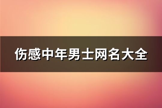 伤感中年男士网名大全(693个)