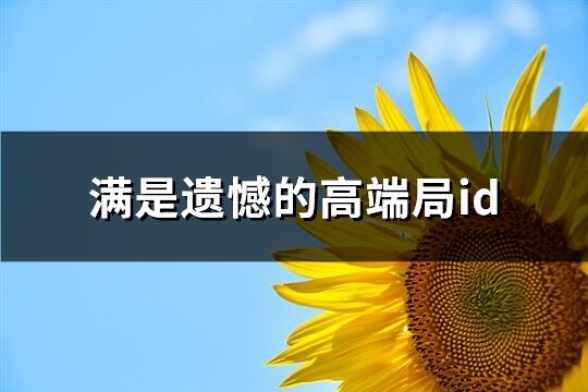 满是遗憾的高端局id(精选71个)