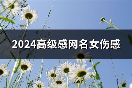 2024高级感网名女伤感(147个)