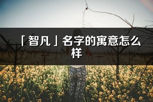 「智凡」名字的寓意怎么样