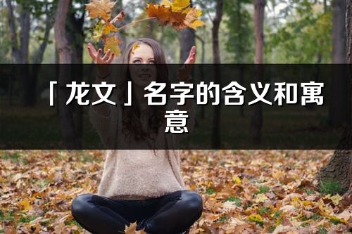 「龙文」名字的含义和寓意