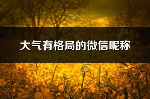 大气有格局的微信昵称(694个)