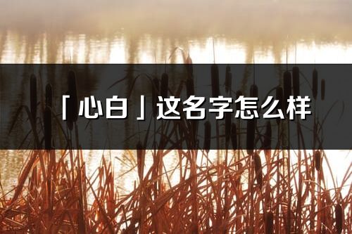 「心白」这名字怎么样