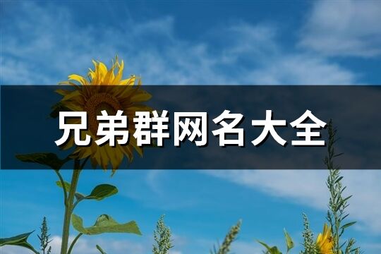 兄弟群网名大全(精选41个)