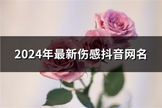 2024年最新伤感抖音网名(共49个)