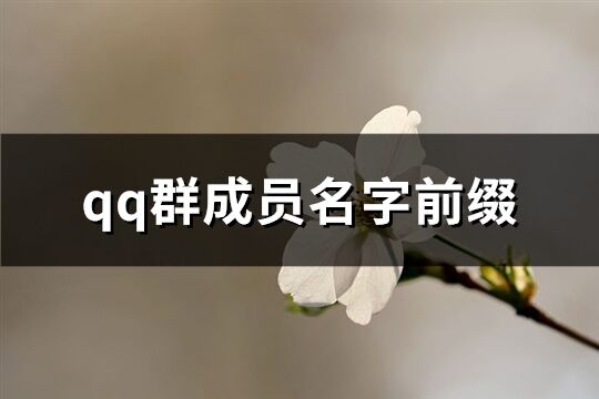 qq群成员名字前缀(共76个)