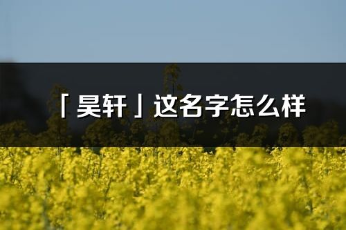 「昊轩」这名字怎么样