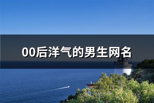 00后洋气的男生网名(精选465个)