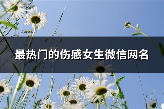 最热门的伤感女生微信网名(共267个)