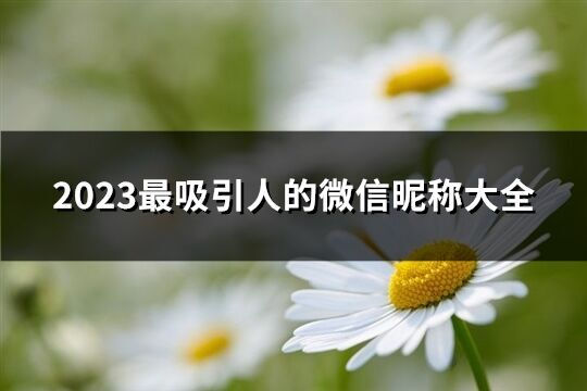 2023最吸引人的微信昵称大全(1057个)