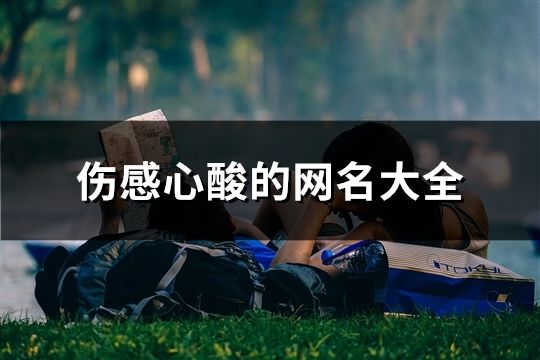 伤感心酸的网名大全(共1030个)