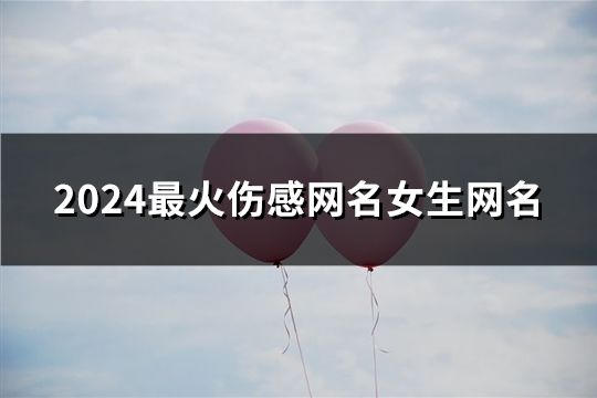 2024最火伤感网名女生网名(精选56个)