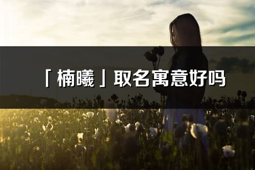 「楠曦」取名寓意好吗