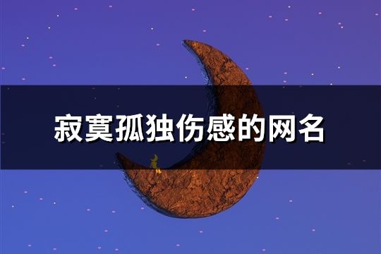 寂寞孤独伤感的网名(共158个)