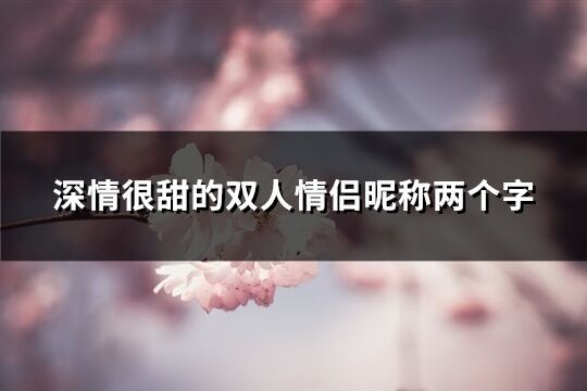 深情很甜的双人情侣昵称两个字(共566个)