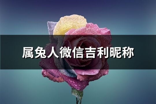 属兔人微信吉利昵称(精选363个)