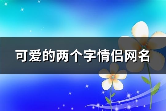 可爱的两个字情侣网名(216对)