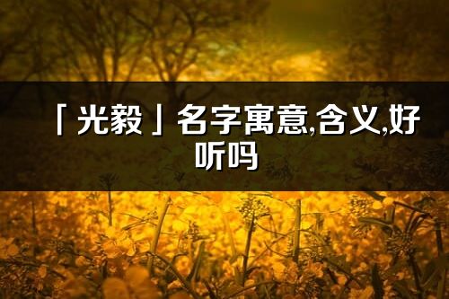 「光毅」名字寓意,含义,好听吗