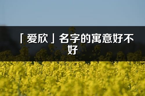 「爱欣」名字的寓意好不好