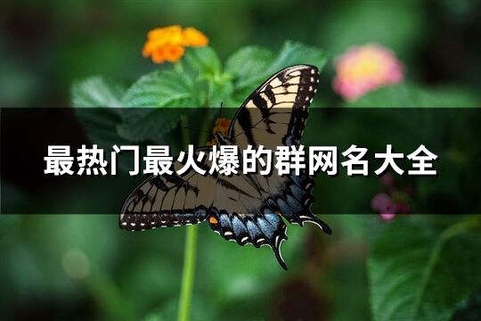 最热门最火爆的群网名大全(共164个)