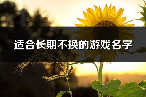 适合长期不换的游戏名字(优选340个)