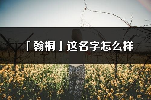 「翰桐」这名字怎么样