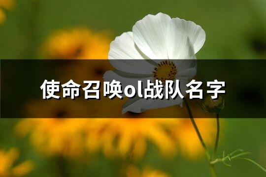 使命召唤ol战队名字(共160个)