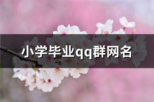 小学毕业qq群网名(共98个)