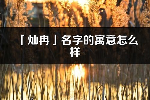 「灿冉」名字的寓意怎么样