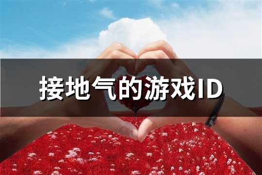 接地气的游戏ID(共251个)