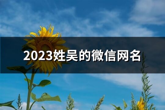 2023姓吴的微信网名(98个)