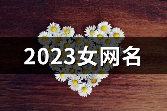 2023女网名(1081个)