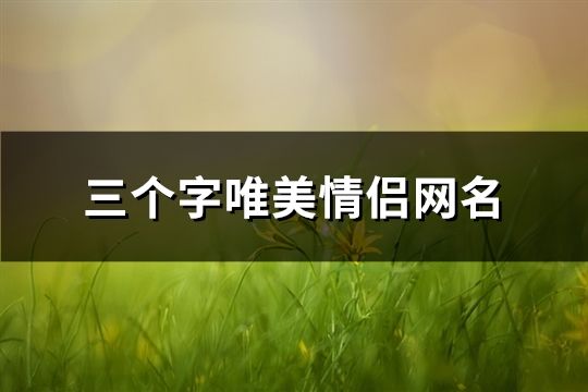 三个字唯美情侣网名(522对)