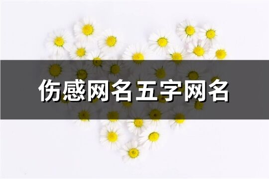 伤感网名五字网名(共687个)