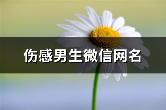 伤感男生微信网名(精选101个)