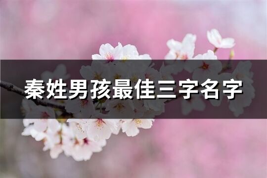 秦姓男孩最佳三字名字(精选129个)