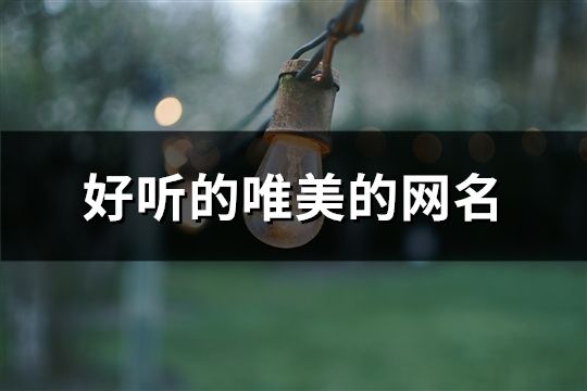 好听的唯美的网名(精选175个)