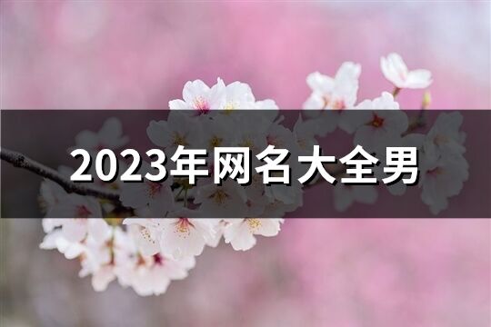 2023年网名大全男(共894个)