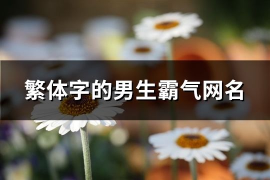 繁体字的男生霸气网名(共105个)